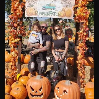 Pumpkin patch
#halloween2021 🎃🎃🎃
.
.
#halloween #october #31 #scary #spooky #boo #scared #costume #ghost #pumpkin #pumpkins #pumpkinpatch #carving #candy #orange #jackolantern #creepy #fall #trickortreat #trick #treat #instagood #party #holiday #celebrate #bestoftheday 
.
.
www.xtr-training.com